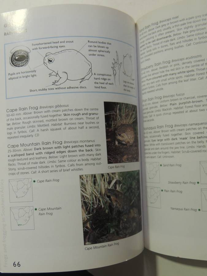 A Guide To The Identification Of TheFrogs Of The Witwatersrand - Vincent Carruthers     NO CD!!