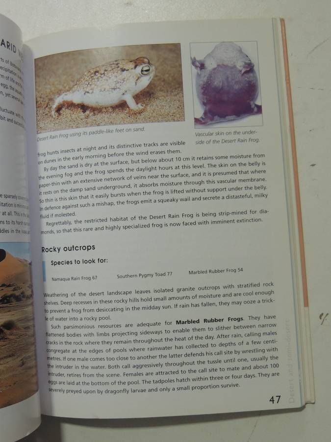 A Guide To The Identification Of TheFrogs Of The Witwatersrand - Vincent Carruthers     NO CD!!