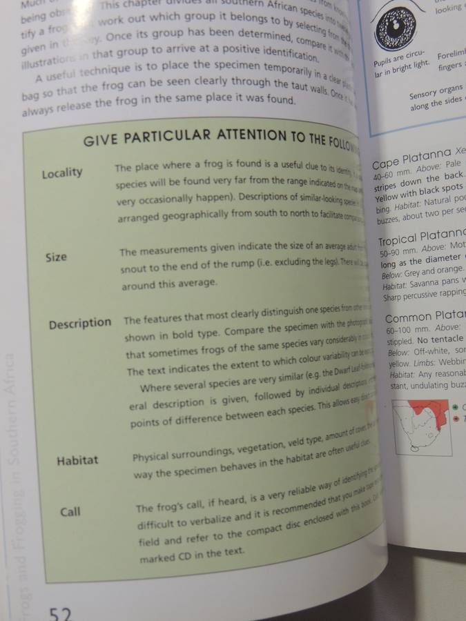 A Guide To The Identification Of TheFrogs Of The Witwatersrand - Vincent Carruthers     NO CD!!