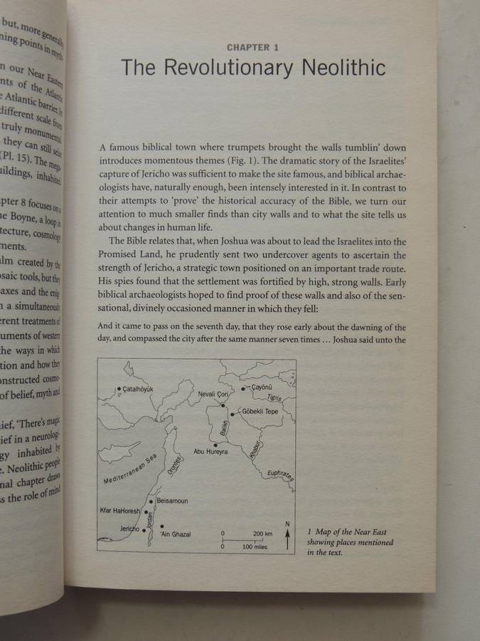 Inside The Neolithic Mind - David Lewis-Williams & David Pearce