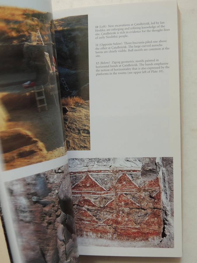 Inside The Neolithic Mind - David Lewis-Williams & David Pearce
