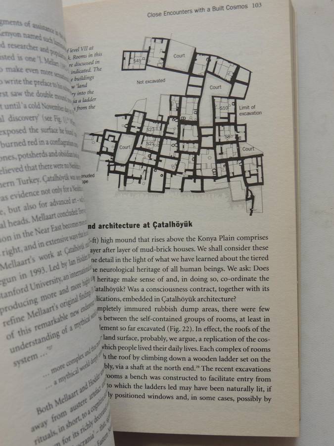 Inside The Neolithic Mind - David Lewis-Williams & David Pearce