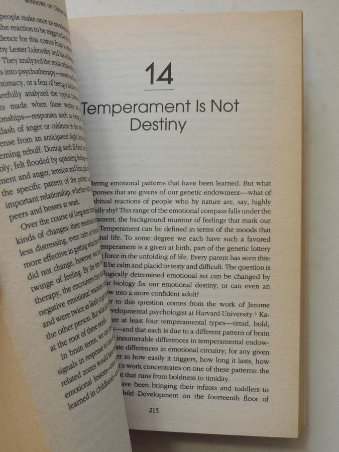 Emotional Intelligence: Why It Can Matter More Than IQ - Daniel Goleman