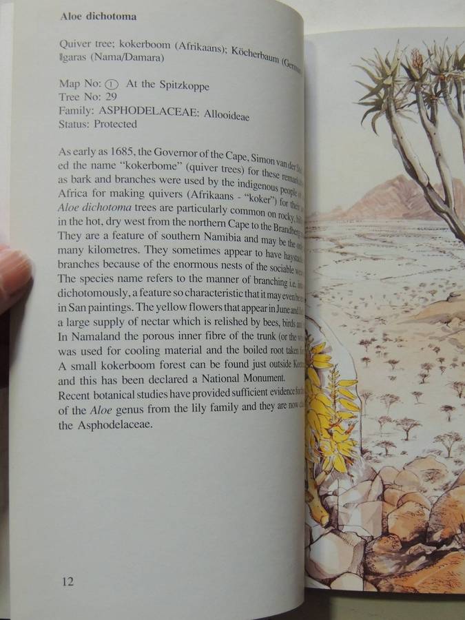 Damaraland Flora: Spitzkoppe, Brandberg, Twyfelfontein - Patricia Craven & Christine Marais