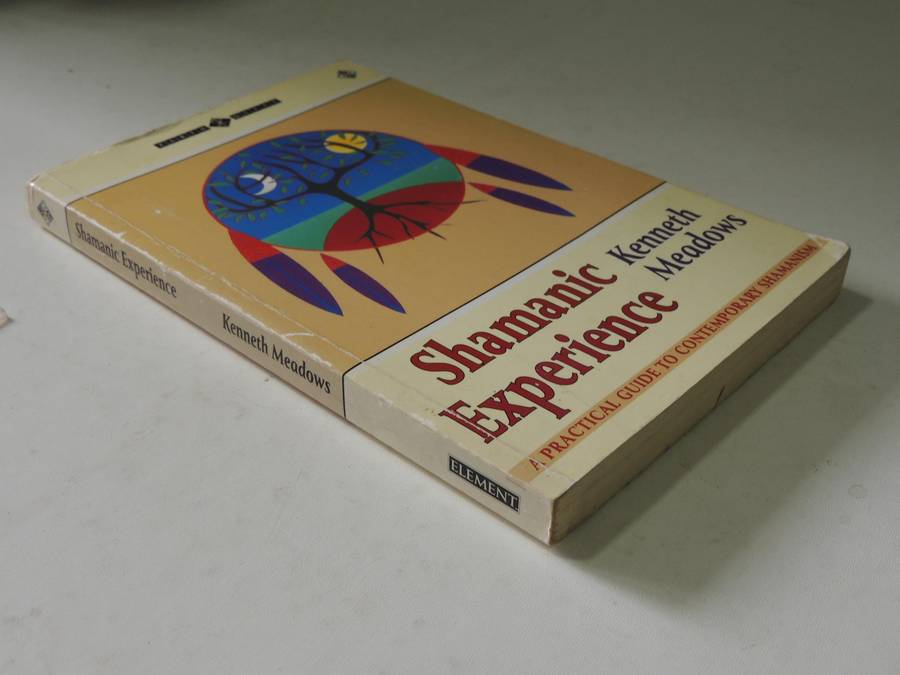 Shamanic Experience: A Practical Guide to Contemporary Shamanism (Earth Quest) - Kenneth Meadows