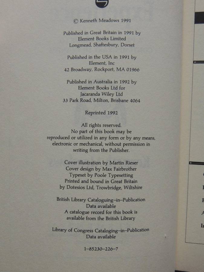 Shamanic Experience: A Practical Guide to Contemporary Shamanism (Earth Quest) - Kenneth Meadows