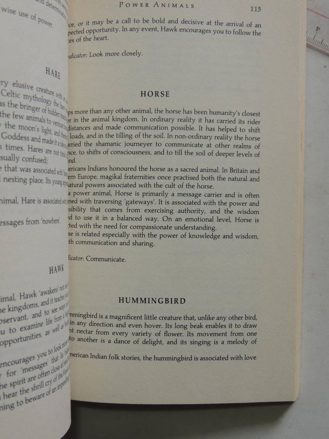 Shamanic Experience: A Practical Guide to Contemporary Shamanism (Earth Quest) - Kenneth Meadows