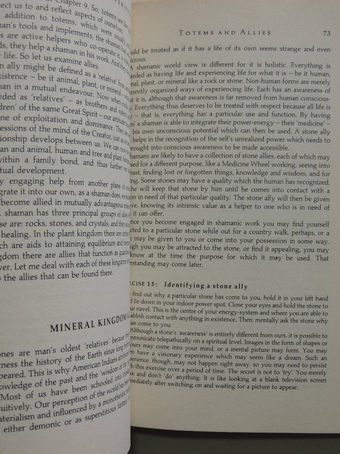 Shamanic Experience: A Practical Guide to Contemporary Shamanism (Earth Quest) - Kenneth Meadows