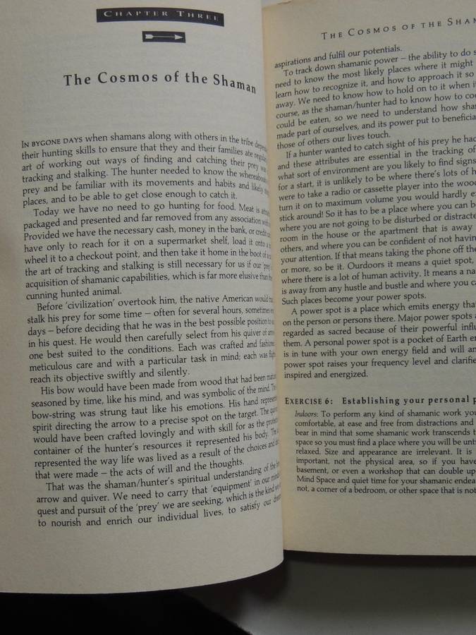 Shamanic Experience: A Practical Guide to Contemporary Shamanism (Earth Quest) - Kenneth Meadows