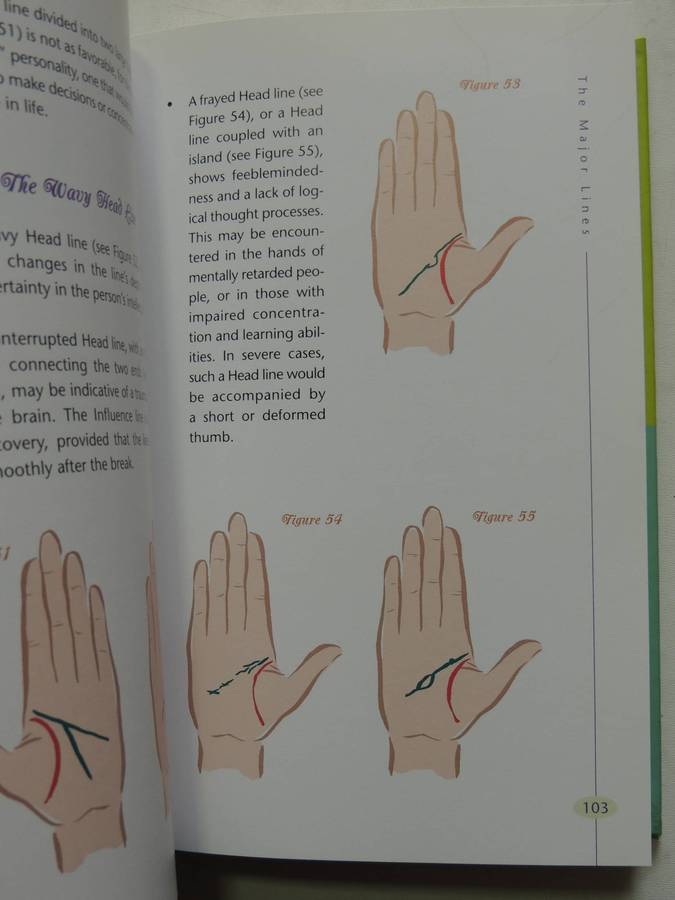 In The Palm Of Your Hand: Practical Palmistry For Career And Relationship Success - Liz Gerstein