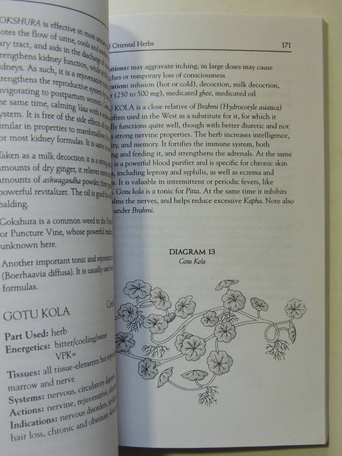 The Yoga Of Herbs: An Ayurvedic Guide To Herbal Medicine - Dr. David Frawley & Dr. Vasant Lad