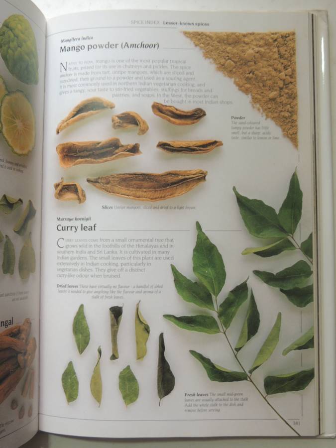 The Complete Book of Herbs and Spices - Lesley Bremnes, Jill Norman