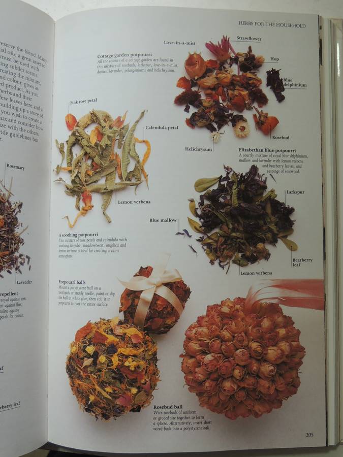 The Complete Book of Herbs and Spices - Lesley Bremnes, Jill Norman