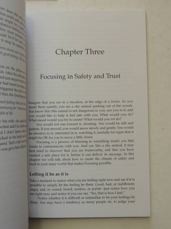 The Power Of Focusing: A Practical Guide To Emotional Self-Healing- Ann Weiser Cornell, Ph.D.