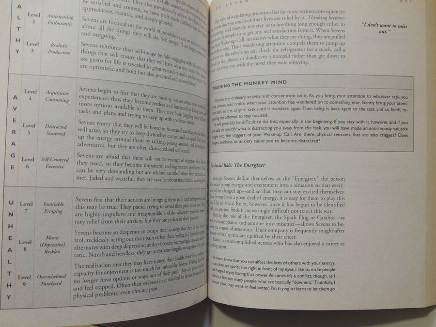 The Wisdom Of The Enneagram - Richard Don Riso, Russ Hudson
