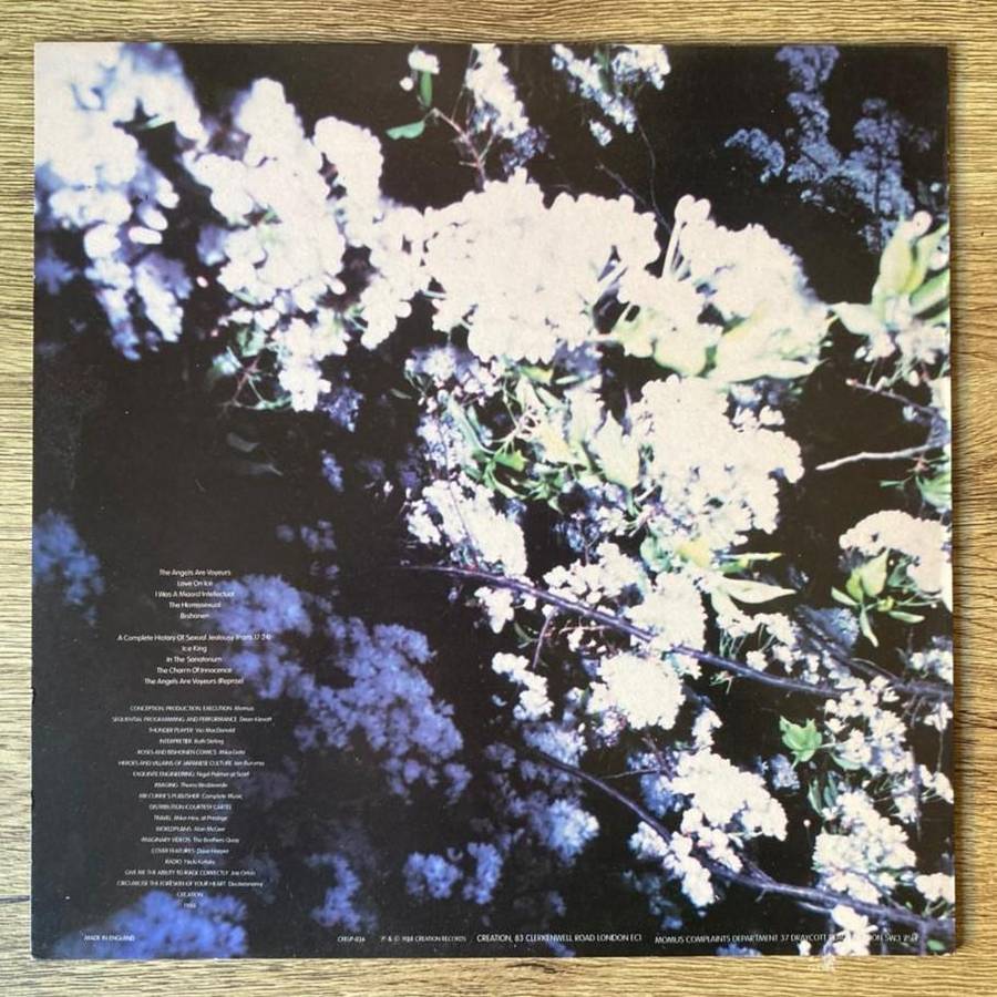 Momus - Tender Pervert LP/Album (1988 UK import) VG+/VG+