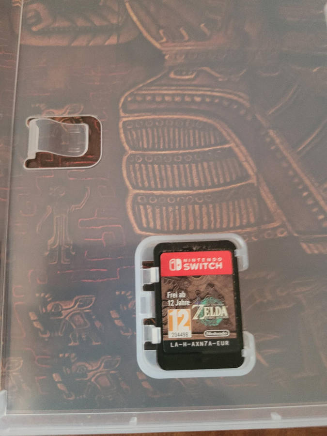 The Legend of Zelda Tears of the Kingdom