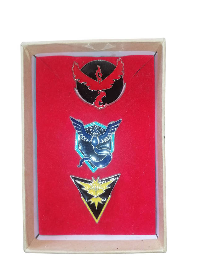 3 Pokémon Badges & 15 Cards
