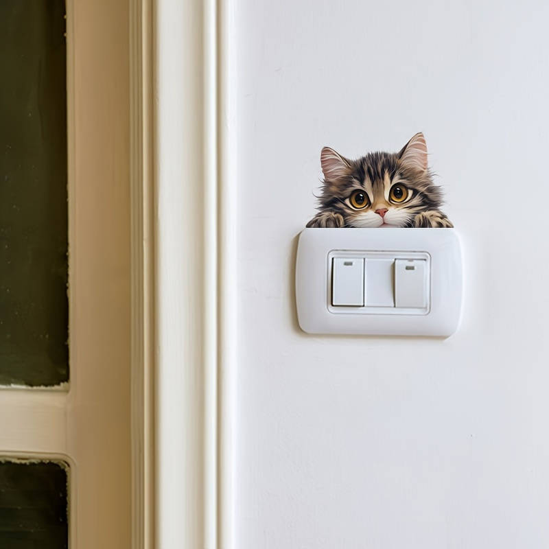 Cute pet kitten