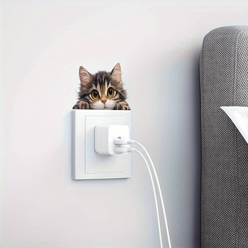 Cute pet kitten