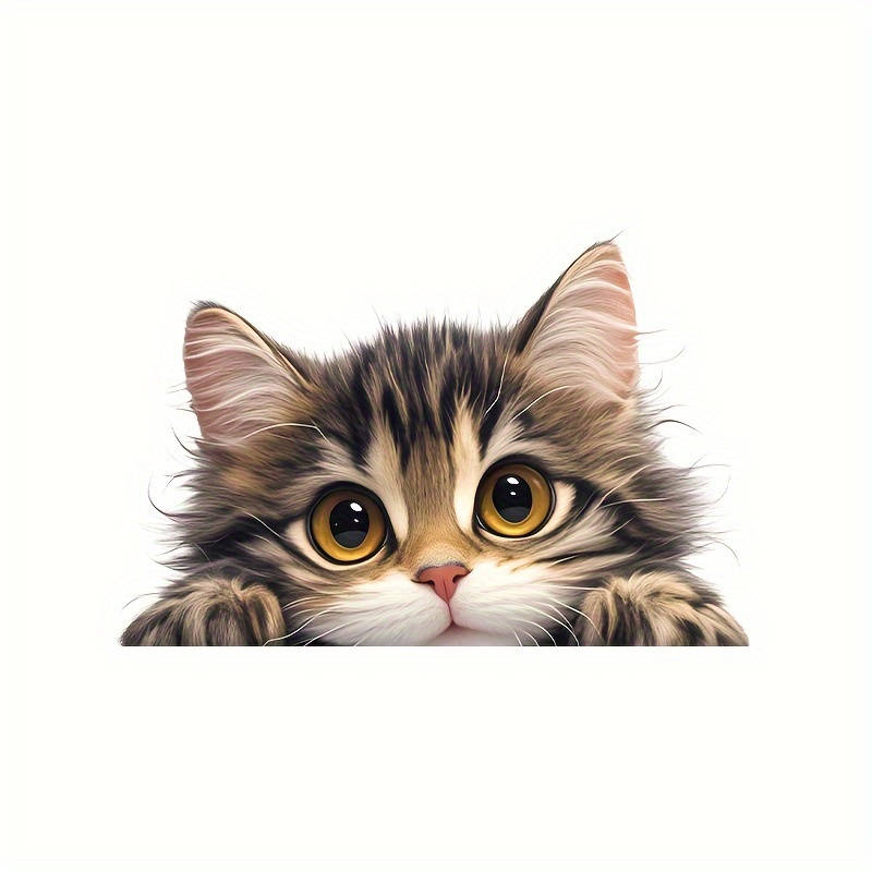 Cute pet kitten