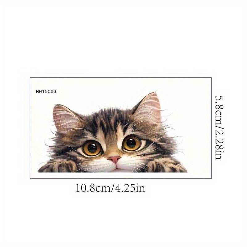 Cute pet kitten