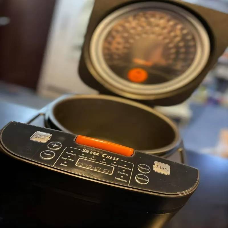 Portable Smart Rice Cooker