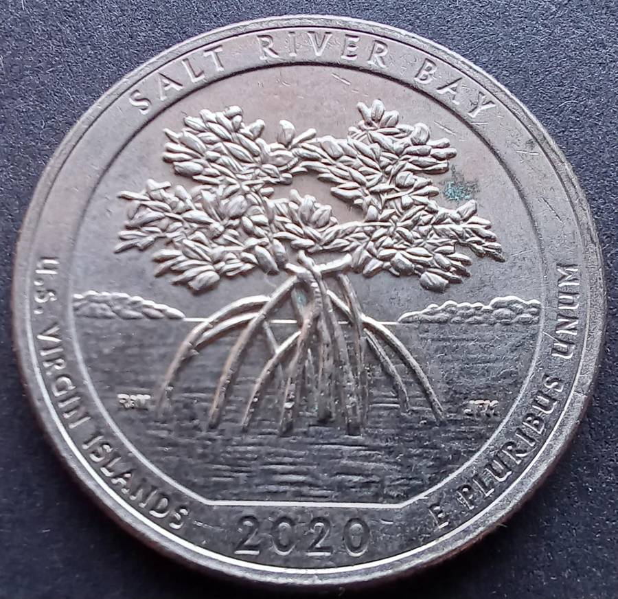 USA Quarter Dollar 2020