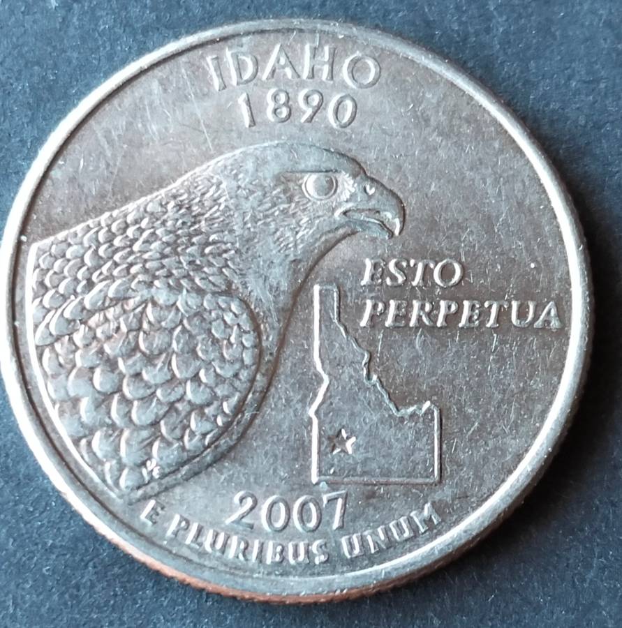 USA Quarter Dollar 2007