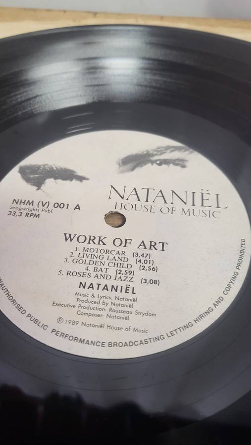 Nataniël- Work of Art LP
