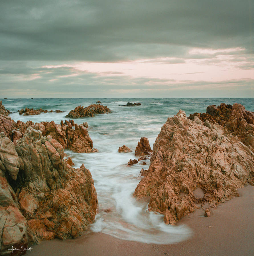 Hasselblad 501 CM with CF 80mm f2.8 lens and film backs