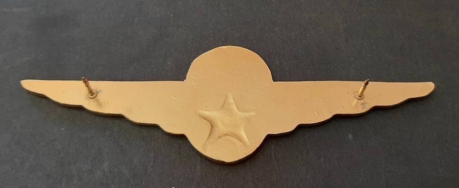 **RARE: Pre-1994 Kempton Park Traffic Dept. Parachute Wings ( All Pins).**