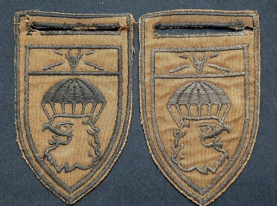 * *Border War : 1980s SADF 44 Parachute Brigade Nutria Embroid. Flashes x2 (L/F & R/F.**