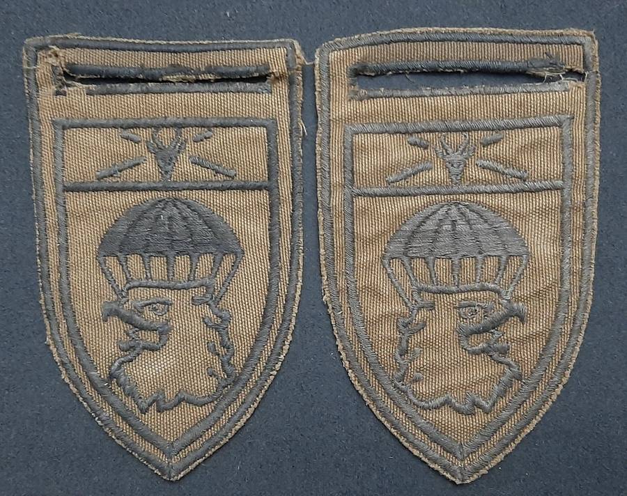 * *Border War : 1980s SADF 44 Parachute Brigade Nutria Embroid. Flashes x2 (L/F & R/F.**