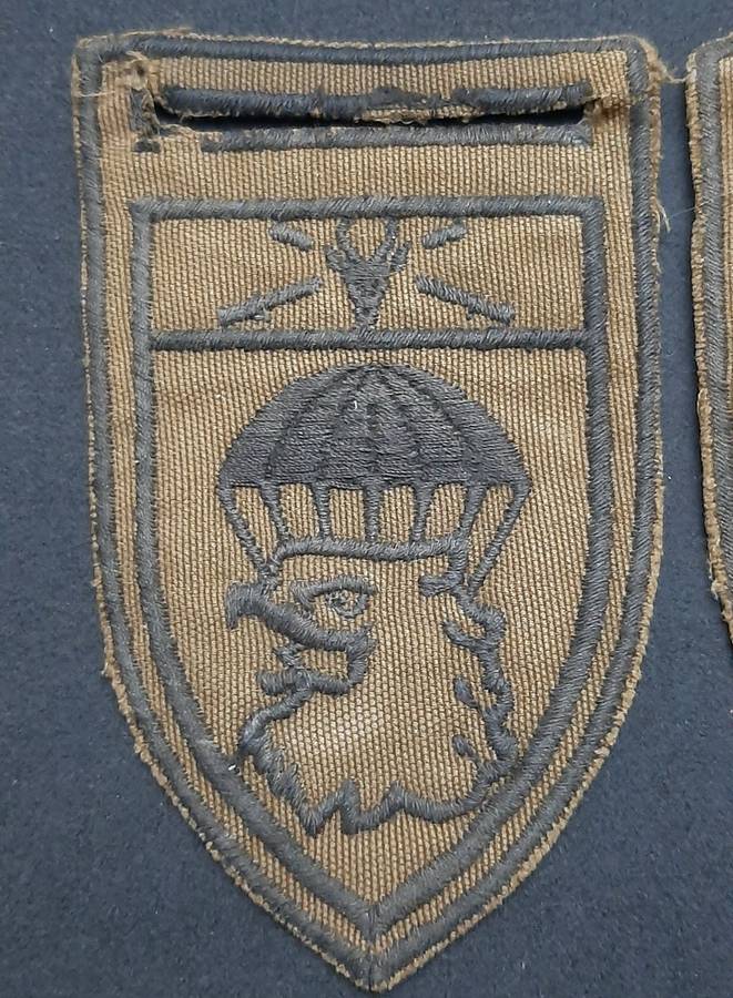 * *Border War : 1980s SADF 44 Parachute Brigade Nutria Embroid. Flashes x2 (L/F & R/F.**