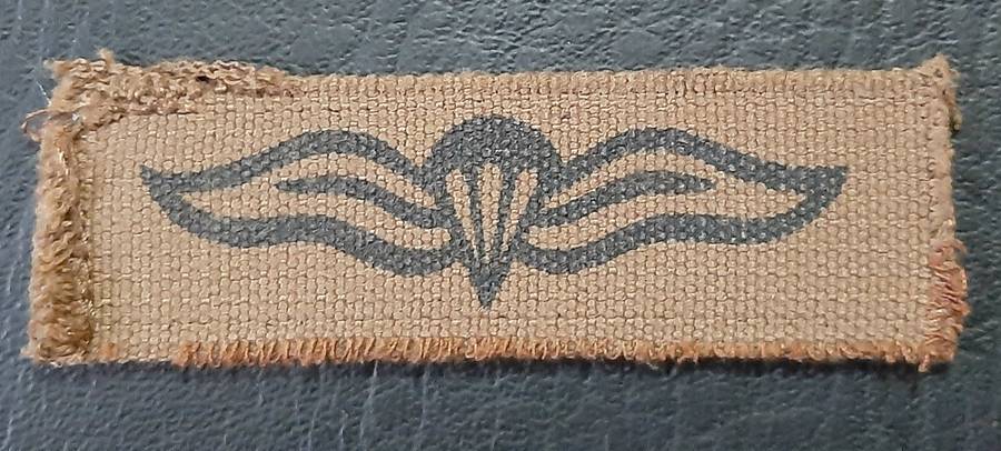 Border War: 1980s SADF Nutria Printed Static-Line Parachute Wing Qualification Badge (ex-Mount).
