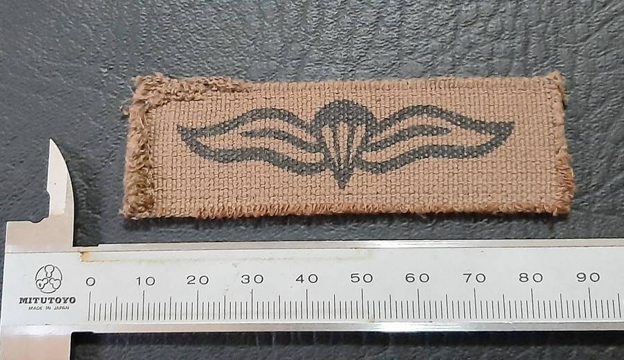 Border War: 1980s SADF Nutria Printed Static-Line Parachute Wing Qualification Badge (ex-Mount).
