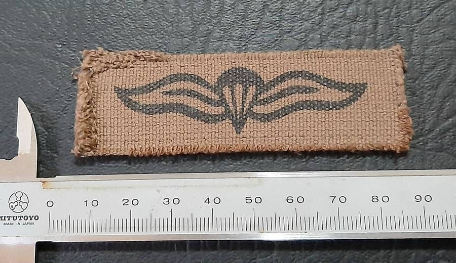 Border War: 1980s SADF Nutria Printed Static-Line Parachute Wing Qualification Badge (ex-Mount).