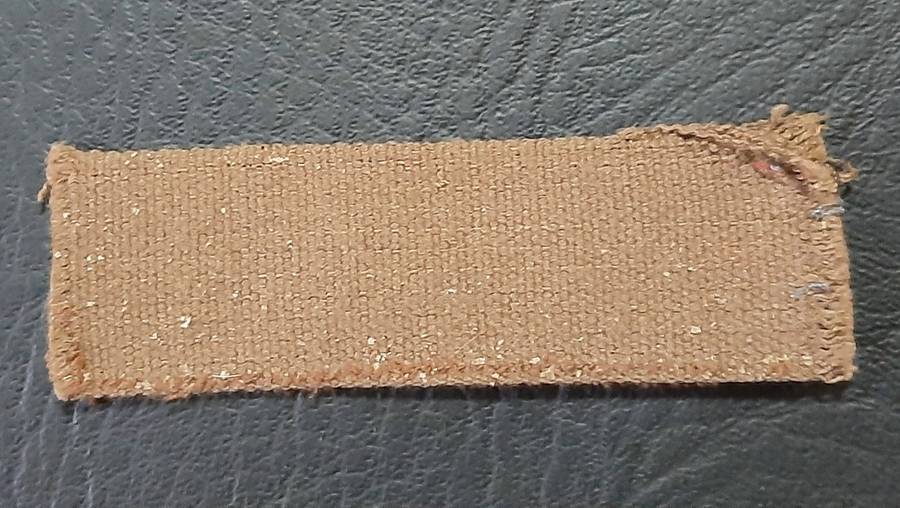 Border War: 1980s SADF Nutria Printed Static-Line Parachute Wing Qualification Badge (ex-Mount).