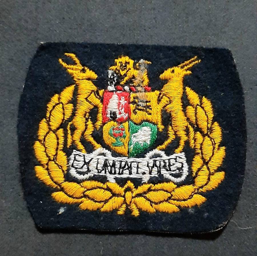 Border War: 1980s SADF - Warrant Officer Class I Step-Out Embroidered Rank Insignia (x2).