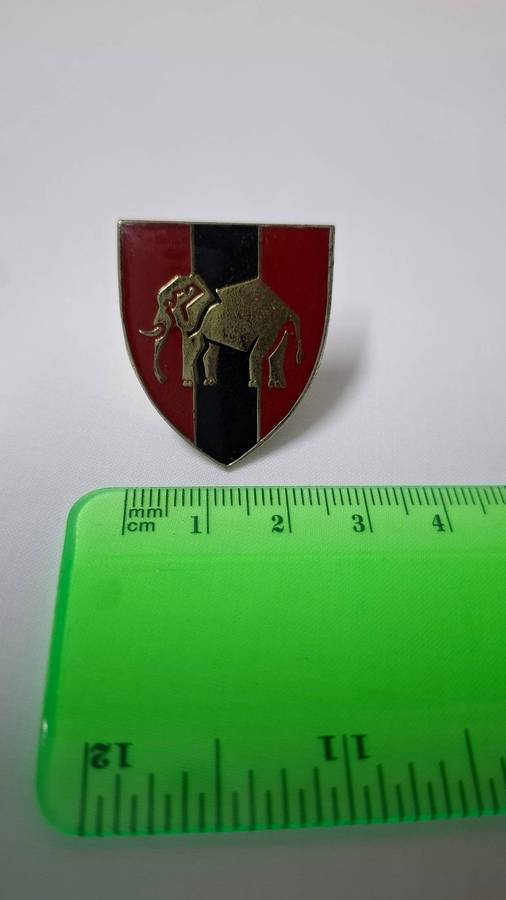 Small SADF EP Command Provost Unit Flash (Both pins intact) - Excellent Condition