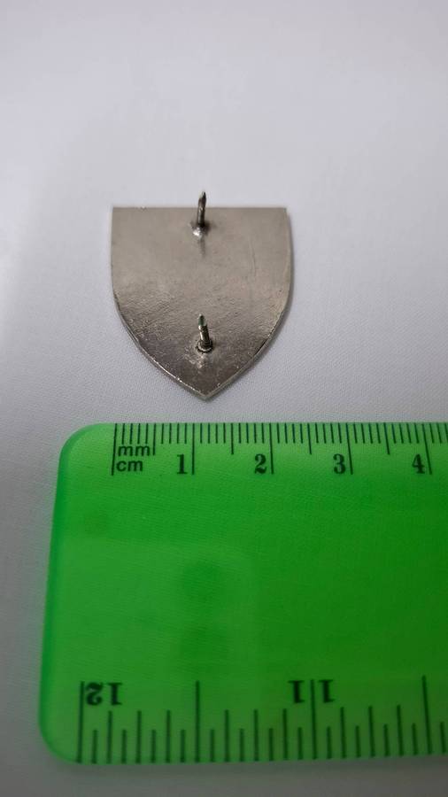 Small SADF EP Command Provost Unit Flash (Both pins intact) - Excellent Condition