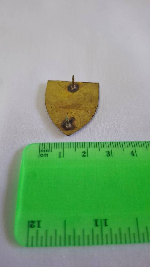 Small SADF Western Province Command Workshop Flash (Both pins intact) - Excellent Condition