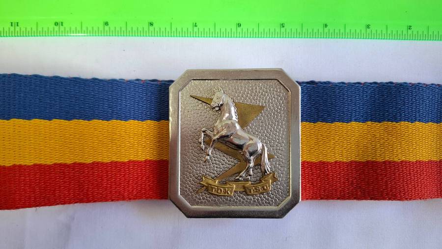 Vintage Mustang Officer Crest Belt Buckle - Good Condition