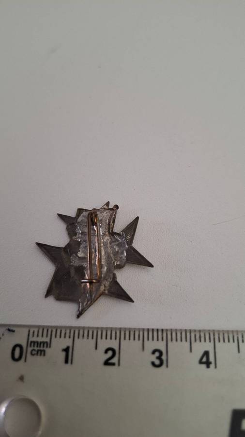 Rare South Africa Ophthalmic Hospital Baragwanath Johannesburg Knight and Horse Badge- Good Conditio