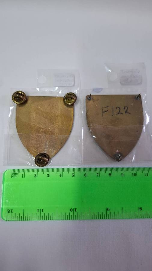 SADF Regiment Christiaan Beyers Metal Shoulder Flash with All Pins Intact - In Excellent Condition