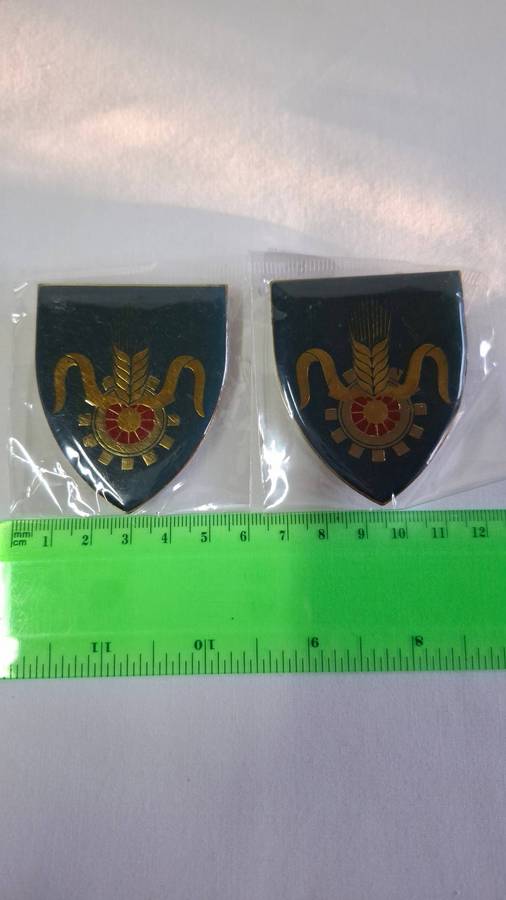 SADF Quartermaster General Metal Shoulder Flash with All Pins Intact - In Excellent Condition