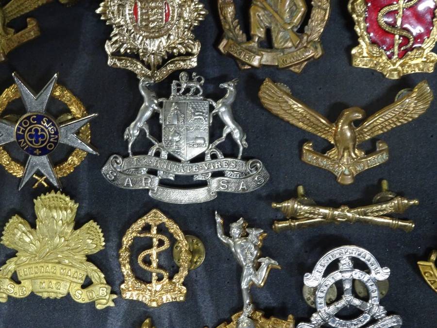 Collection Of  Twenty Four SADF Badges - In Excellent Condition - All Pins In Tack