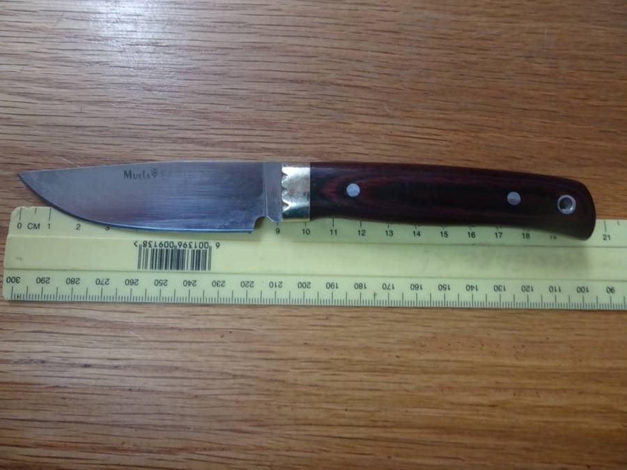 Stunning Muela Eagle Spain Made - Molibdeno Vanadio Hunting Knife In Original Leather Bag