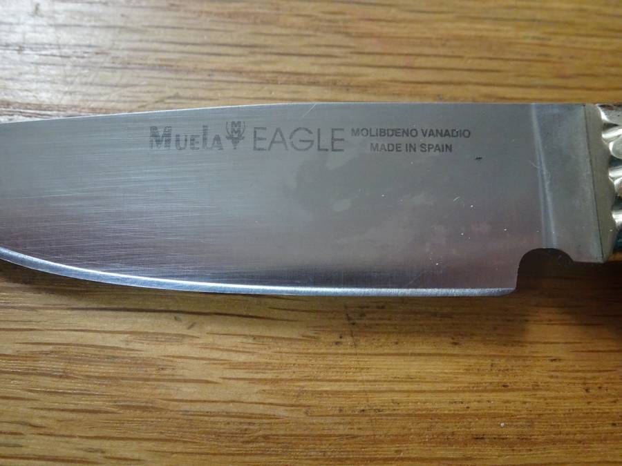 Stunning Muela Eagle Spain Made - Molibdeno Vanadio Hunting Knife In Original Leather Bag